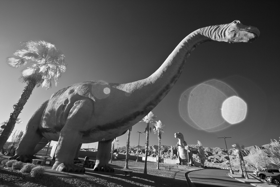 Dinosaur