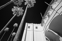Catalina