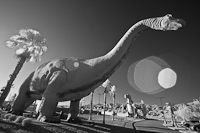 Dinosaur