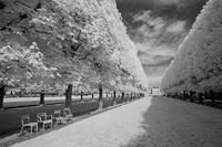 Luxembourg Gardens