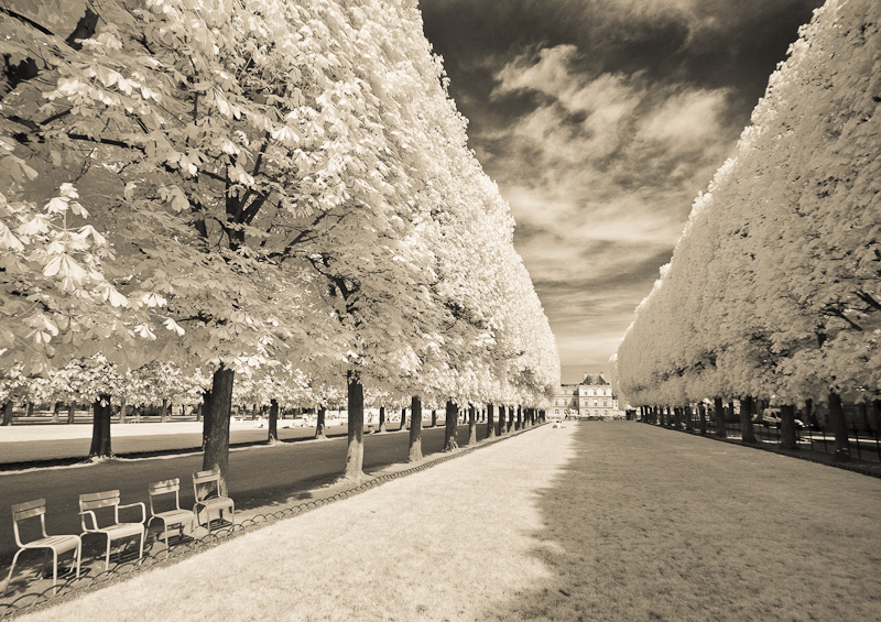 Luxembourg Gardens